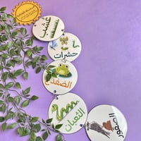 مطوية السلسلة الغذائية