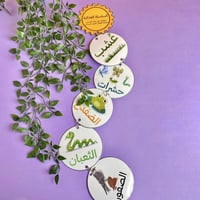 مطوية السلسلة الغذائية