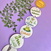 مطوية السلسلة الغذائية