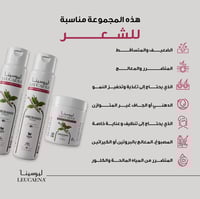 شامبو الجابوراندي