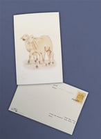 بطاقة الخراف