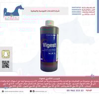 فايجست 500 ميلي Vigest