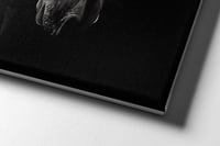 لوحة خجيلان-لوحات جدارية خيل.