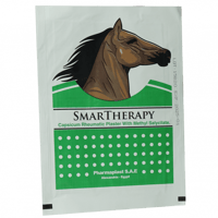 سمارت ثيرابى لاصقة حرارية للظهر