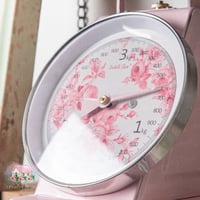 0772 ميزان ريترو معدني أنيق من إزابيل روز 3kg (زهر...