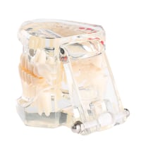 نموذج فك اسنان