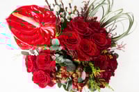 مزهرية الياقوت