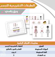 الطبقات التشريحية للجسم