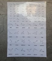 مجموعات نجمية