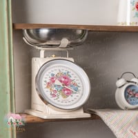 0743 ميزان ريترو معدني أنيق من إزابيل روز 3kg (كري...