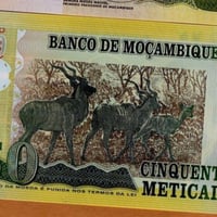 موزمبيق فئة 50 متكال (بولمير) أنسر