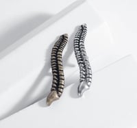 دبوس عمود فقري