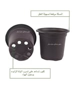 مركن تشتيل 9 سم ( 5200 حبة )