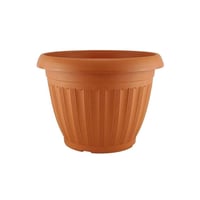 دائري العرض 30