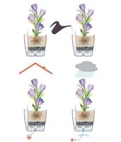 حوض ري ذاتي دائري 28 سم