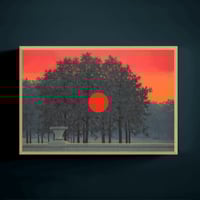 اللون القرمزي