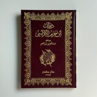 ديوان ابن حزم الأندلسي