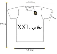 تيشيرت قطن لحمي بيسك فاخر سادة