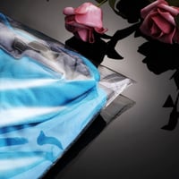 شدة أكياس لاصق شفاف 33 * 45 سم