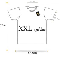 تيشيرت قطن سماوي فاتح بيسك فاخر سادة 1725