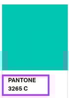 فينيل حراري اقمشة نعناعي