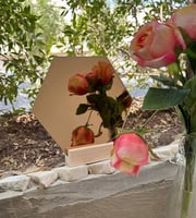 مرايا زجاج شكل سداسي ذهبي مقاس 18 * 18 سم مع ستاند...