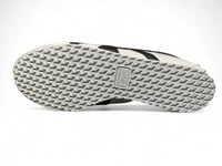 اسيكس تايجر كوين