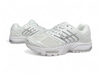 نايك بيغاسوس سيلفر