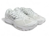 نايك بيغاسوس سيلفر