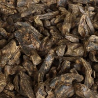 كمبودي الظبي