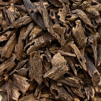 موري بنغالي غابات