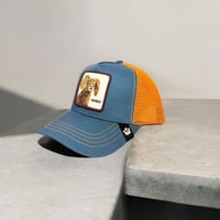 كاب برتقالي و ازرق داكن بطبعة جلد في المنتصف