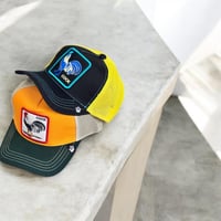 كاب بطبعة ديك