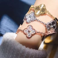 اسواره فان كليف 5 وردات