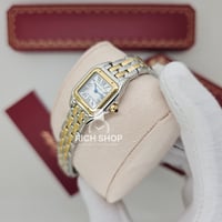 ساعة كارتير بانثر ماستر