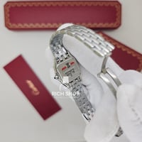 ساعة كارتير بانثر ماستر