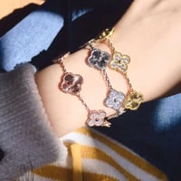 اسواره فان كليف 5 وردات