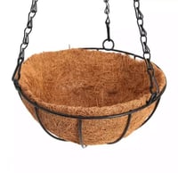 تعليقة الجوز الهند خوص الحجم صغير