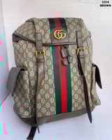 شنطة قوتشي Gucci Bag