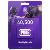كود ببجي 40500 شده