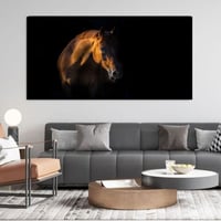 الخيل الادهم - تجريدي