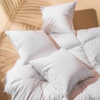 حشوه وسادة من ريش الأوز الطبيعي مقاس 50x50cm