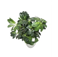 نباتات صناعيه للزينه m