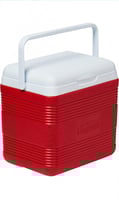 صندوق تبريد بلاستيك من كوزموبلاست يحتفظ بالبرودة ل...