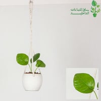 بوتس صغيرة مجهزة بمركن معلق