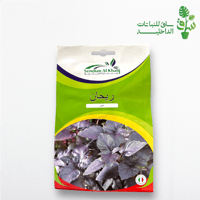 بذور ريحان احمر