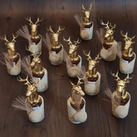 عطور توزيعات ١٢ حبه على حسب الطلب