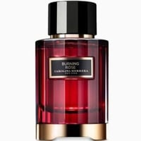 عطر كارولينا هيريرا كونفيدينشال بيرنينج روز او دو...