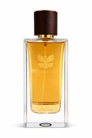 عطر أمريكان ادوي بارفيوم 100 ملي