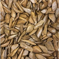 عود الموروكي الطبيعي